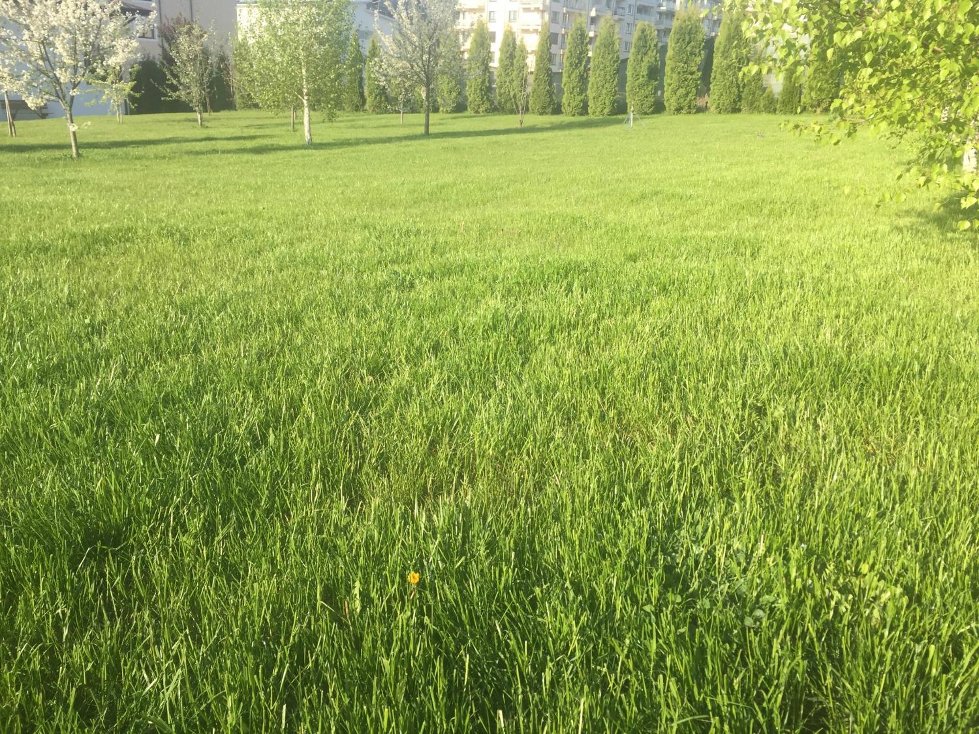 Tango Margo Valea Lupului (Iasi) Exterior foto